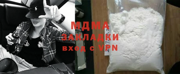 хмурый Аркадак