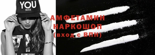 хмурый Аркадак