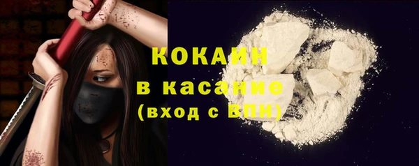 хмурый Аркадак