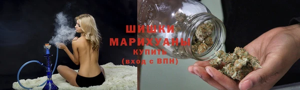 хмурый Аркадак