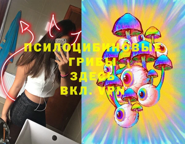 герыч Арсеньев