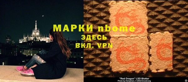 хмурый Аркадак