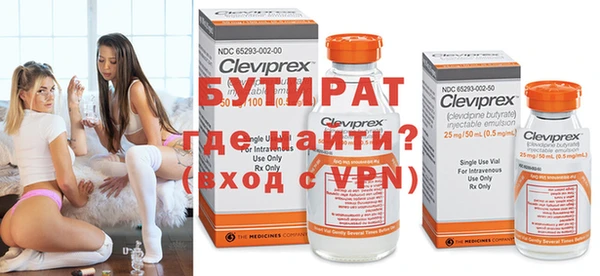 хмурый Аркадак