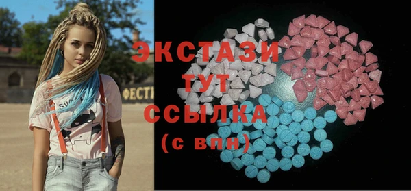 хмурый Аркадак